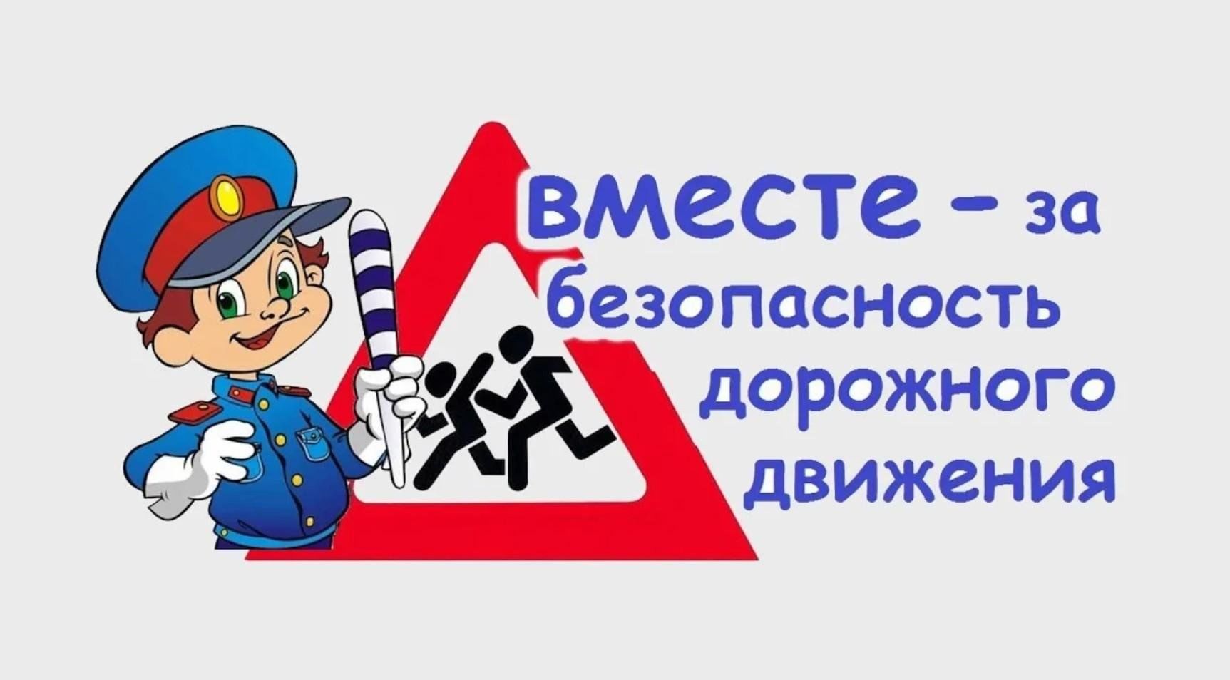 Профилактика ДДТТ.